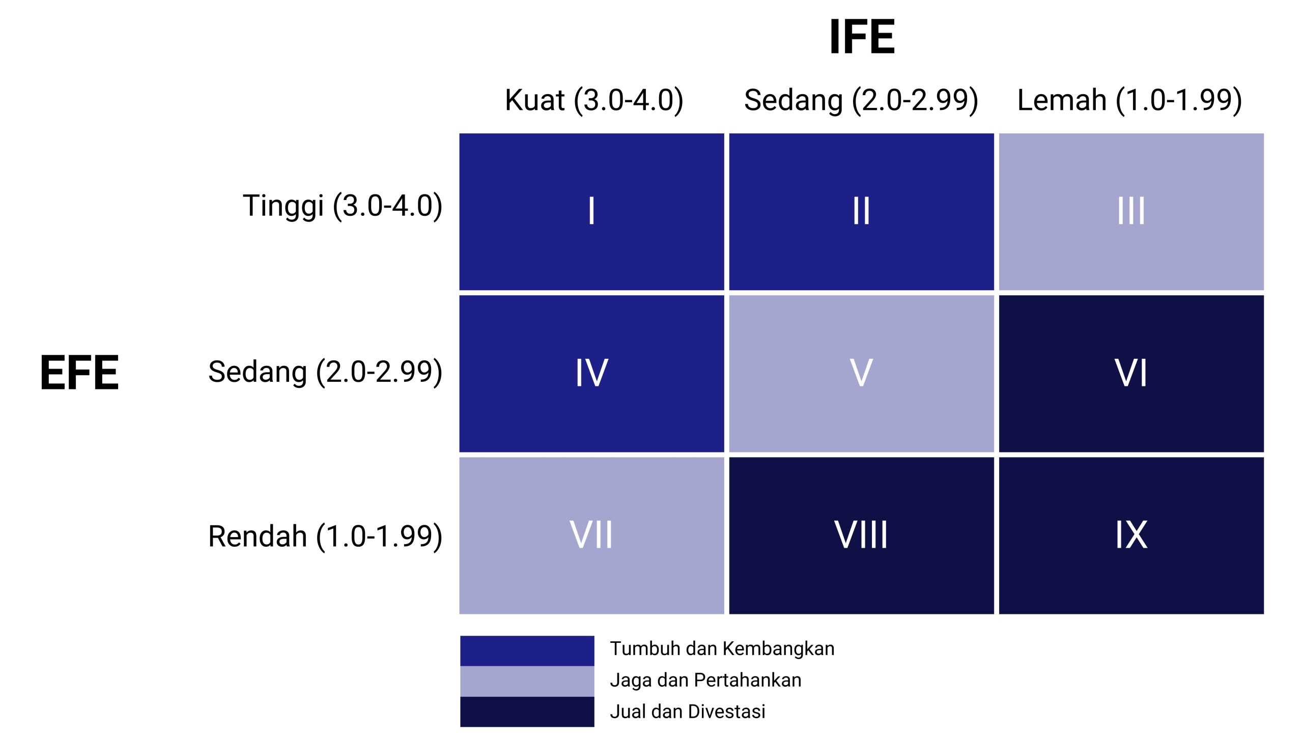 IFE EFE Matrix