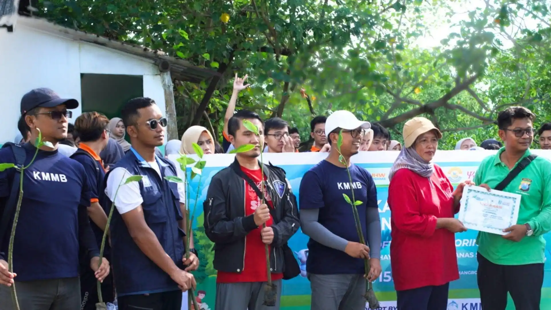 KMMB CSR Mangrove