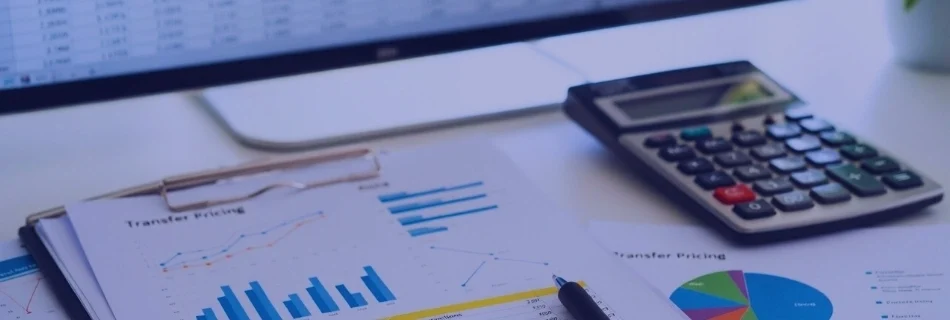 Transfer Pricing Documentation dan Mitigasi Risiko